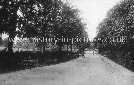 The Avenue, Tiptree, Essex. 1917
